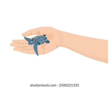 leatherback sea turtle on a white background.