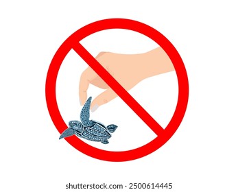 leatherback sea turtle on a white background.