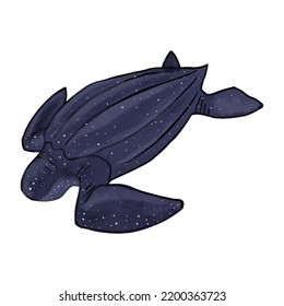 Leatherback turtle icon. Hand drawn vector illustration. Sea animal creature reptilian.