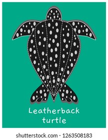 Leatherback turtle vector