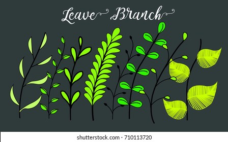 Leave Branch Collection
