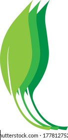 Leave design logo vector stock