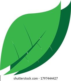 Dejar de lado el vector del logotipo de diseño