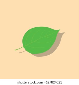 Leave icon, vector illustration design. Ecology objects collection.