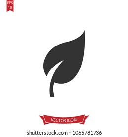 Leave icon.Leaf vector.Nature sign isolated on white background.Simple decorative  illustration for web and mobile platforms.