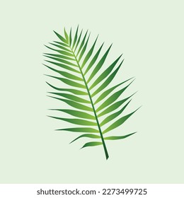 Leave illustration to use anywhere you want 