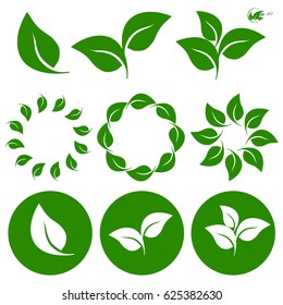 leave leaf icon set vector