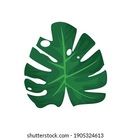 leave monstera plant green nature icon vector illustration design