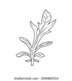 leave off cornflowers isolated on wihite background. Hand drawn botanical vector illustration