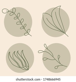 Leave, Plant, Floral Vector Set Of Flat Illustration