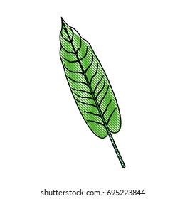 leave plant and nature element ecology