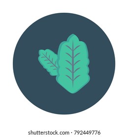 leave salad leaf 