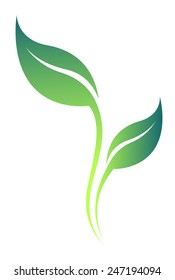 Leave. Vector green spring stylized leaf silhouette.  Season tree leaf isolated on white background. Eco sign, nature label. Decorative element for medical, ecological brands.