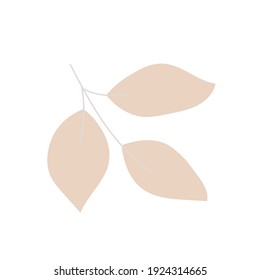 Leave Vector hand drawn plant pink color. Botanical illustration. Template design for sail, wedding save date, envelope, valentine, for party, holiday decor.	