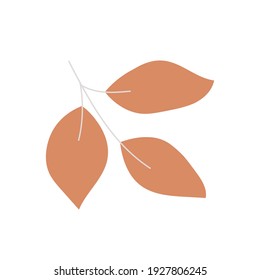 Leave Vector hand drawn plant pink color. Botanical illustration. Template design for sail, wedding save date, envelope, valentine, for party, holiday decor.	