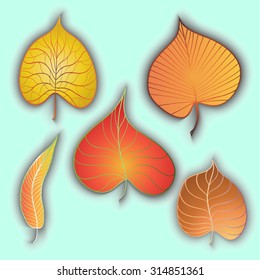 leaves 