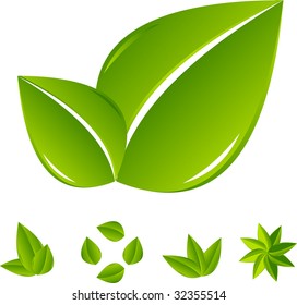 Leaves