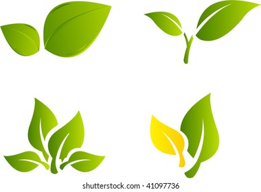 leaves