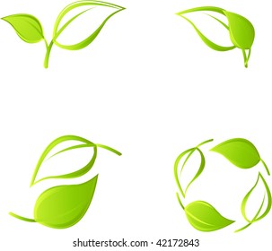 leaves