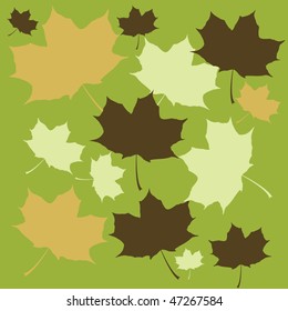 leaves