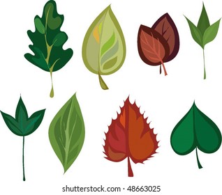  leaves