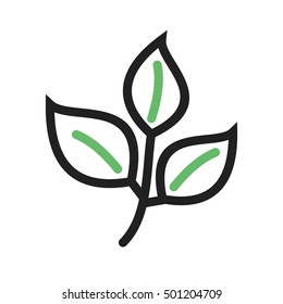 Leaves