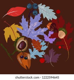 Leaves Acorn etc