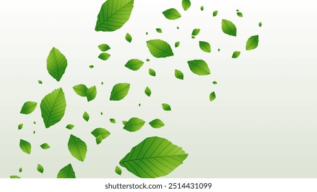 Leaves in the air background for natural and herbal products. Green leaves collection floating in air.