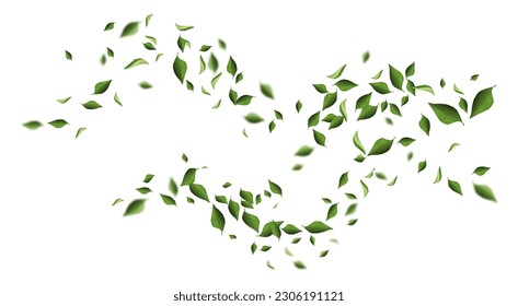 Saltos en el aire. Elemento gráfico para la publicidad de té o productos de belleza naturales y orgánicos. Plantilla, disposición y burla. Foliage en movimiento por el viento. Dibujo vectorial plano de dibujos animados