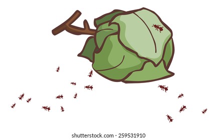 leaves ant nests on the ground illustration vector 