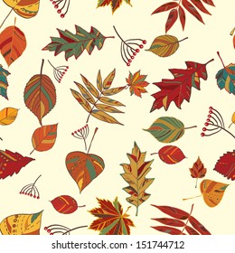 leaves autumn