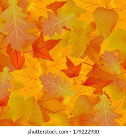 leaves autumn 