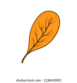 leaves autumn element