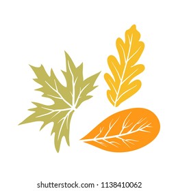 leaves autumn element collection