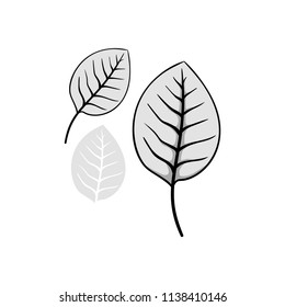 leaves autumn element design
