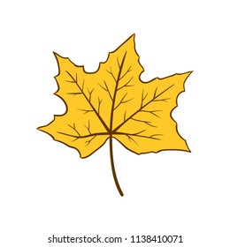 leaves autumn element icon