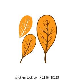 leaves autumn element oranye vector