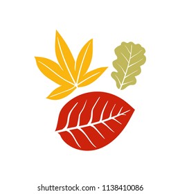 leaves autumn element vector