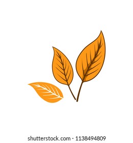 Leaves autumn fallen element set