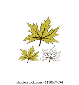 Leaves autumn fallen green color