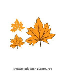 Leaves autumn fallen illustration