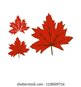 Leaves autumn fallen on white background
