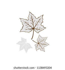 Leaves autumn fallen silhouette