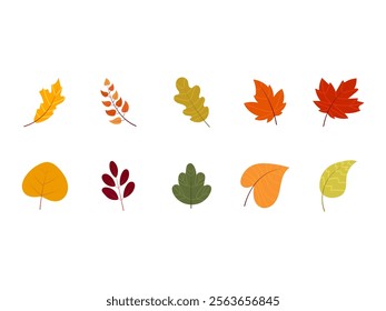 Leaves Autumn Illustration Element Set