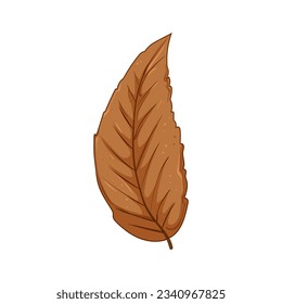 leaves autumn leaf cartoon. tree nature, yellow border, oak october leaves autumn leaf sign. isolated symbol vector illustration