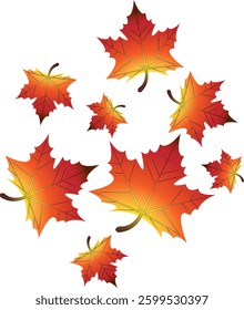 leaves autumn no background vector