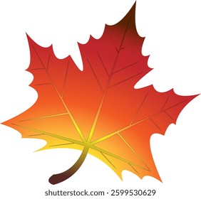 leaves autumn no background vector