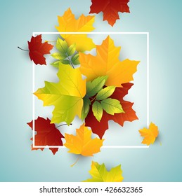 Leaves autumn on blue background.Vector