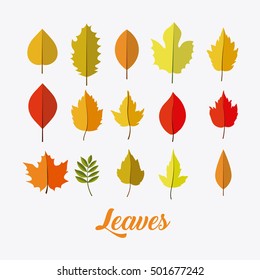 Leaves of autumn season design