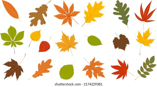 leaves autumn set, collection in flat design set isolated